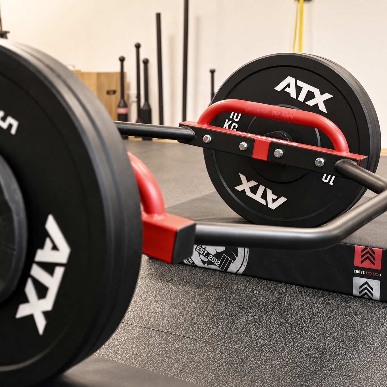 Hexbar im Personal-Training-Studio Schwetzingen