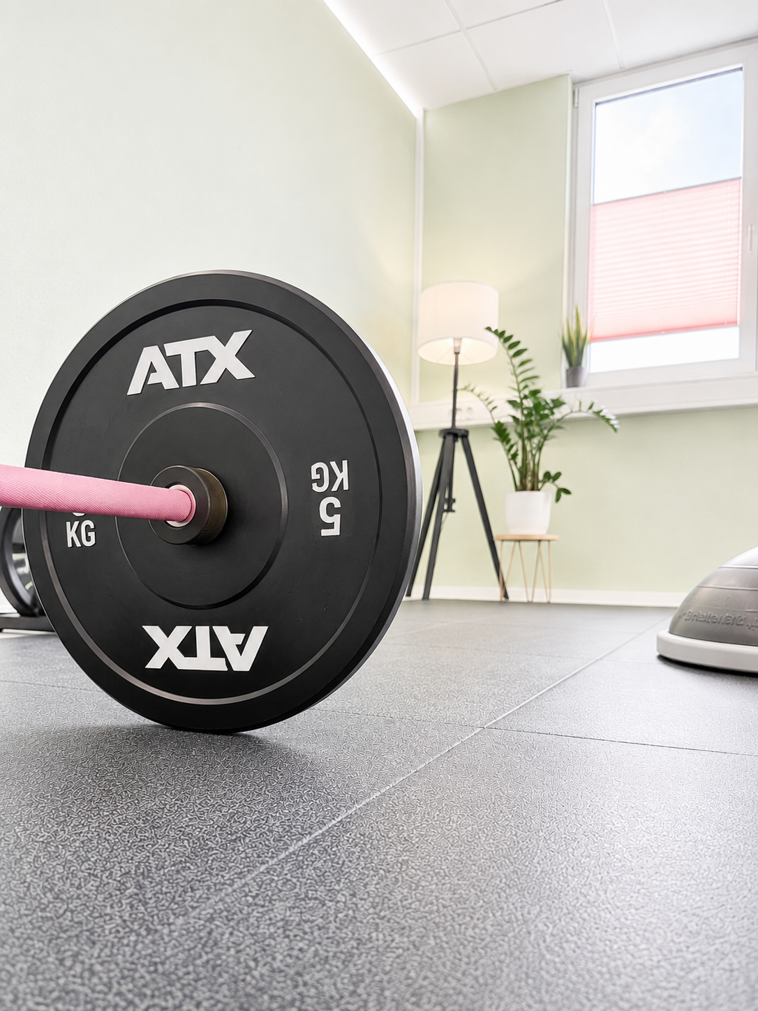 Langhantel im Personal-Training-Studio Schwetzingen